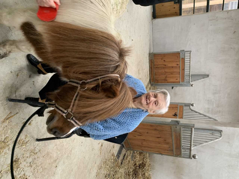 photos de la quatrième séance d’équithérapie !