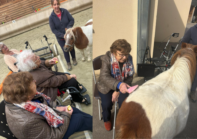 L'essai de l'équithérapie continue!🐴
