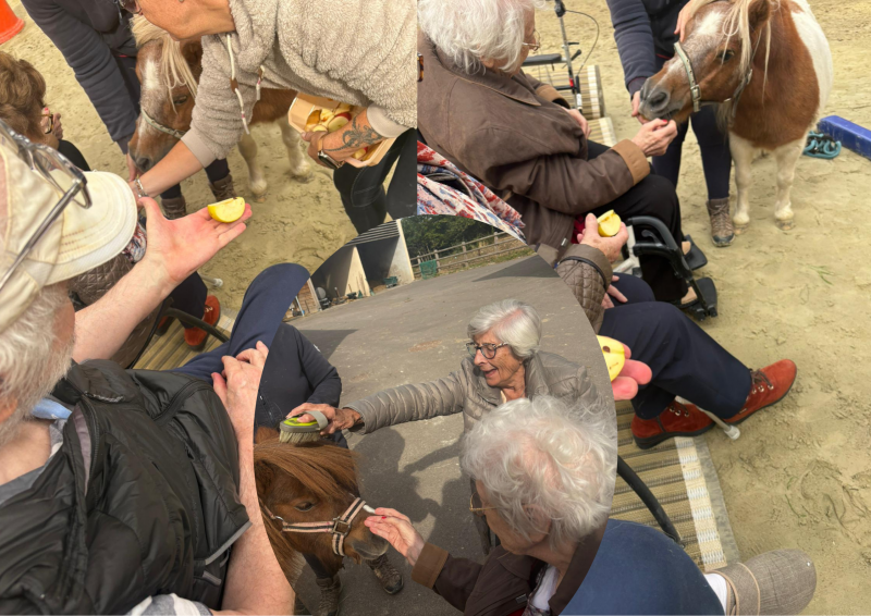 L'essai de l'équithérapie continue!🐴