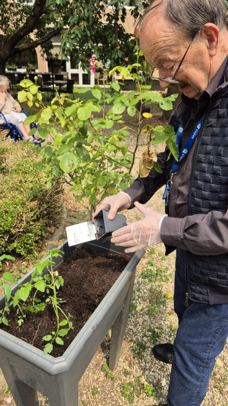 Atelier jardinage à La Harpe : les tomates de l'été sont en route !