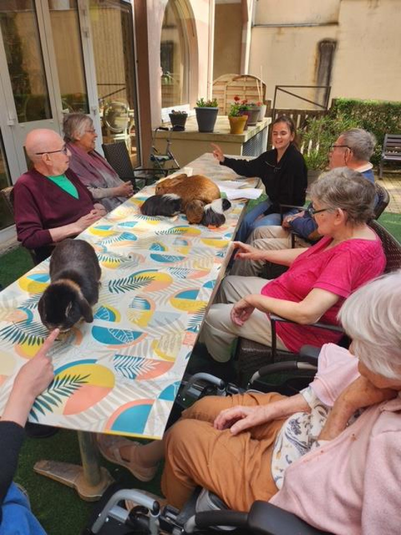 Visite des animaux à la résidence La Harpe : un moment de bonheur partagé !