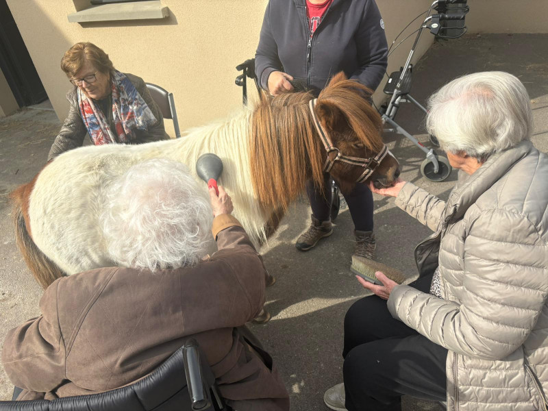 ehpad autun