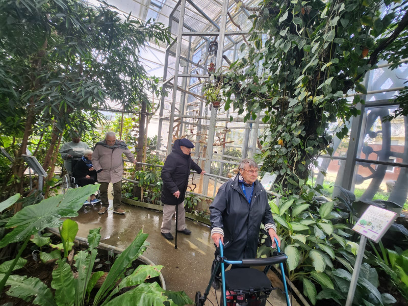 Une promenade ensoleillée à la serre botanique