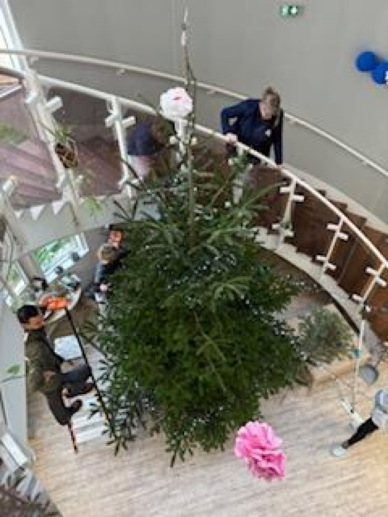 Décoration du Grand Sapin de Noël 🎄