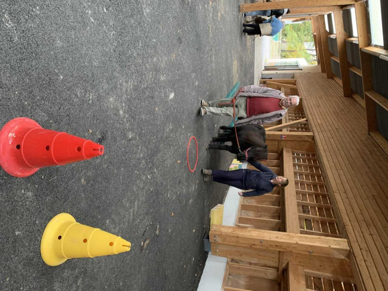 photos de la quatrième séance d’équithérapie !