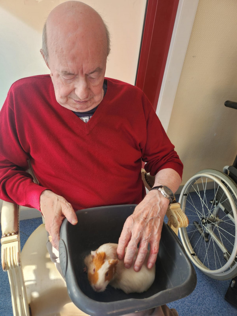 Une visite animale qui fait du bien