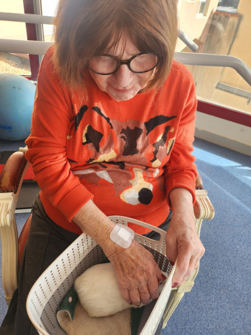 Une visite animale qui fait du bien