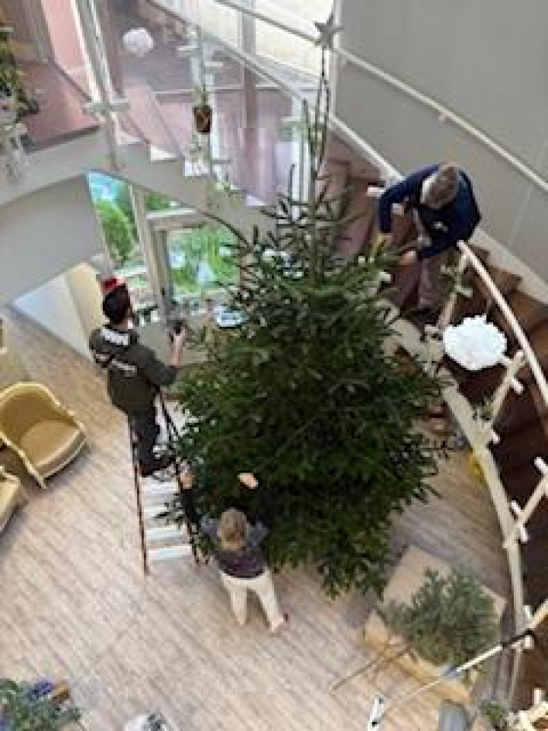 Décoration du Grand Sapin de Noël 🎄